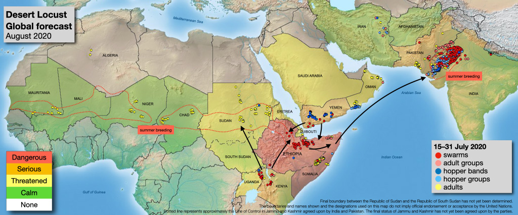Eine Grafik der FAO zeigt die Ausbreitung der Wüstenheuschrecken. | © FAO Eine Grafik der FAO zeigt die Ausbreitung der Wüstenheuschrecken.