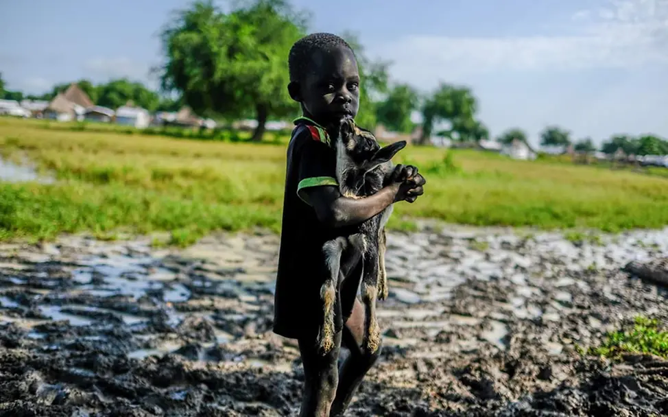 Südsudan-Krise: Kinder brauchen humanitäre Hilfe. | © UNICEF/Grarup Südsudan: Ein Junge trägt seine Ziege über eine überschwemmte Wiese.