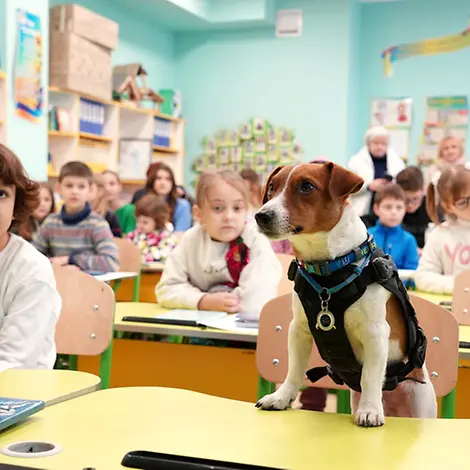 UNICEF/Boyko | Hund Patron hilft mit UNICEF, Kinder vor Minen zu schützen Ukraine-Krieg: Hund Patron hilft mit UNICEF, Kinder vor Minen zu schützen