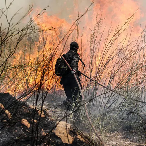 Waldbrände können weltweit verheerende Folgen haben | © UNICEF/Michalatos Waldbrände Folgen: Eine Einsatzkraft der Feuerwehr läuft mit einem Schlauch auf brennendes Gestrüpp zu.